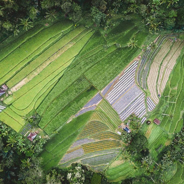 Family terraces and cafés for calm evenings in Zurich